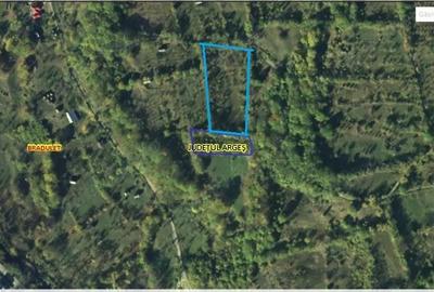 Teren de vanzare in Bradulet Arges - 4