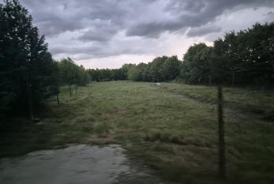 Teren intravilan | 2000 mp | de vanzare- Valea Avrigului - 2