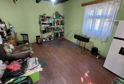 Teren intavilan, 4800 mp, front la strada, utilitati, Rasca - 4