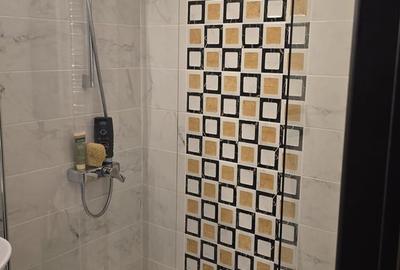 Garsonieră decomandată, mobilată în Calea Călărașilor - 13