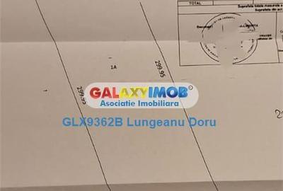 Spațiu comercial, în Vest - 2