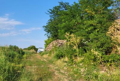 VANZARE TEREN EXTRAVILAN VANZARE TEREN EXTRAVILAN - 4