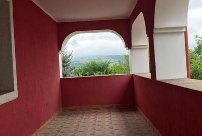 Apartament cu 2 camere decomandat în Morăreni - 4