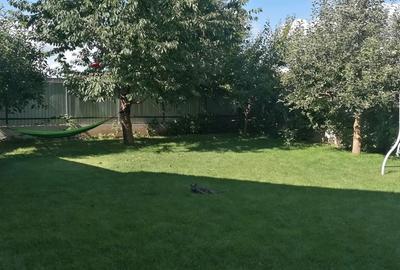 Casa de vanzare Letea Veche - 3