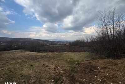 Teren de 1334 mp, în Moldovenești - 5