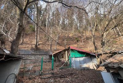 Agapia , casa si teren la strada , langa padure si Manastirea Agapia - 13