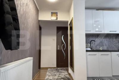 Apartament cu 2 camere decomandat în Criș - 8