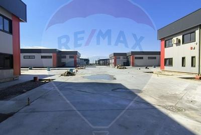 Hale noi de inchiriat Domnesti - putere instalata pana la 600kva - 2