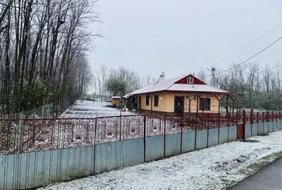 Casă cu 3 camere decomandat în Frăsinet - 8