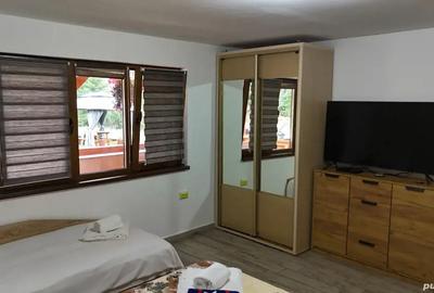 Cabana si Teren de Vanzare la Rimetea - 3