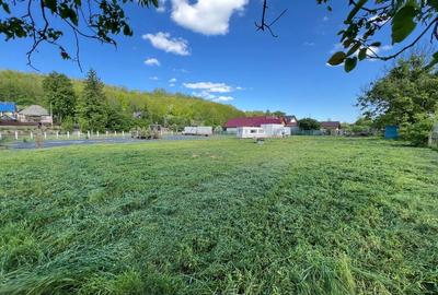 Teren de 3000 mp, în Buhuși - 5