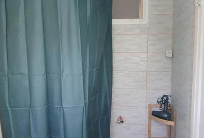 Apartament cu 2 camere semidecomandat în Cișmigiu - 6