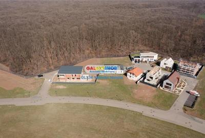 Vanzare teren 1290 mp cu proiect Balotesti Dumbrava Vlasiei padure - 6