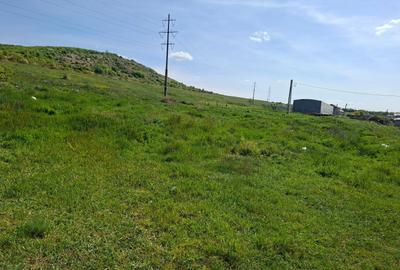 Teren de 700 mp, în Exterior Vest - 6