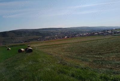 Teren de 8000 mp, în Chinteni