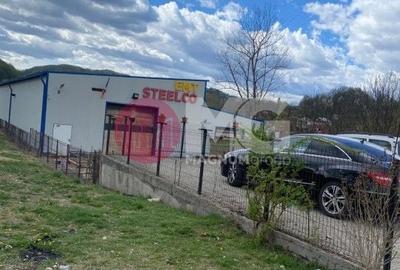 Hala industriala + teren Pausesti Valcea - 3
