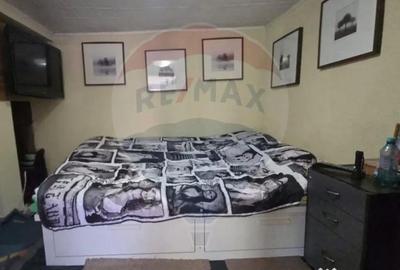 Casă cu 6 camere cu Teren 2655 Mp în Toporu - 9