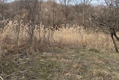 Spațiu comercial, în Central - 5