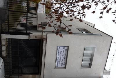 Casă cu 6 camere cu Teren 272 Mp în Ferdinand - 4