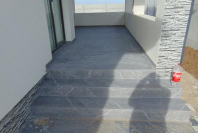 DE la DEZVOLTATOR casa PARTER placa de beton la pod incalzire in pardoseala - 42