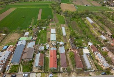 TANTAVA - GRADINARI, CASA 70 MP, LOT - 1557 MP! - 33