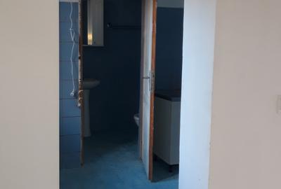 Casa modesta, locuibila, toate utilitatile, Chitila-Bucurestii Noi.73000E - 7