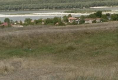Teren de 4000 mp, în Seimeni - 2