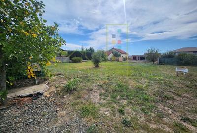 Teren Construcții intravilan de 600 mp, în Dumbrăvița - 2