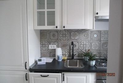 Dorobanti - Colegiul German, studio elegant in vila, etaj 1/P+2+M - 10