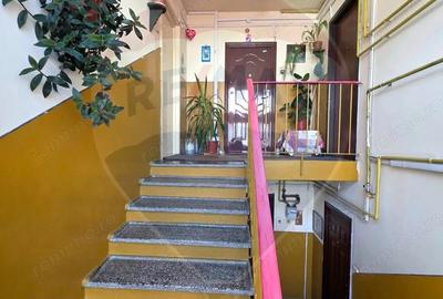 Apartament doua camere Gura Campului Medias - 6