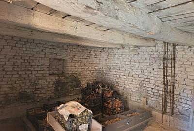 Casă cu 3 camere cu Teren 1565 Mp în Sângătin - 3