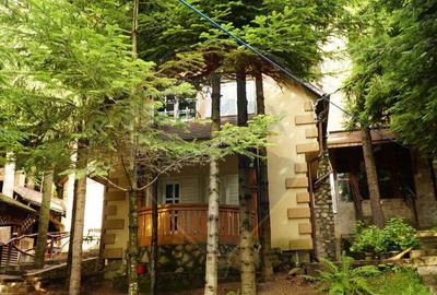 Spațiu comercial, de 510 mp, în Bisoca - 17