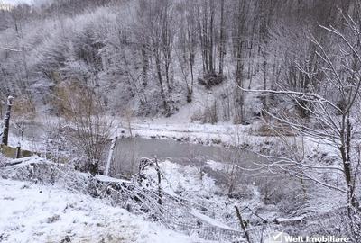 Casa de vacanta, cu lac, 5640 mp teren, Huta, com. Chiuiesti, jud. Cluj Casa de vacanta, cu lac, 5640 mp teren, Huta, com. Chiuiesti, jud. Cluj - 40