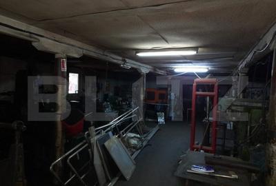 Hale pentru industrie grea ( confectii metalice) - 2