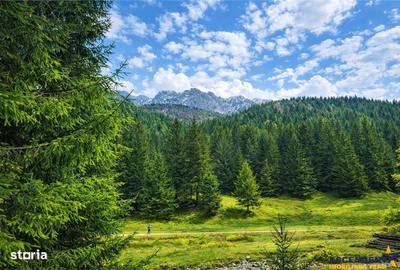 Spațiu comercial, în Central - 2