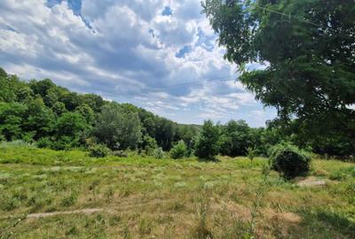 Spațiu comercial, în Slănic - 8