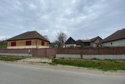 Casă cu 3 camere în Adămuș - 4