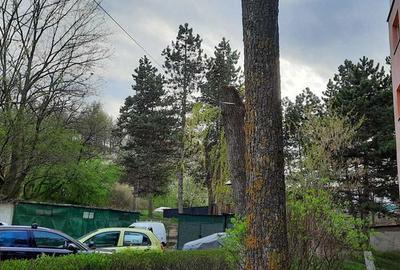 Apartament cu 2 camere în Mărăști - 2