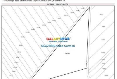 Teren de 25000 mp, în Tutova - 3