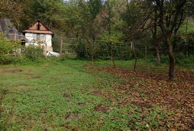 Teren de 11650 mp, în Valea Borcutului - 3