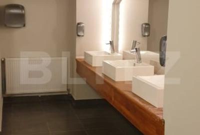 Ocazie, spatiu comercial exclusivist, 639 mp, Pta. Victoriei-Timisoara! Ocazie, spatiu comercial exclusivist, 639 mp, Pta. Victoriei-Timisoara! - 3