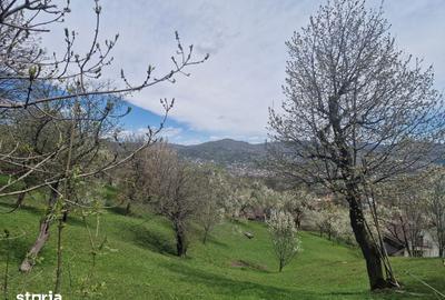 Teren de 2111 mp, în Ghioșești - 6