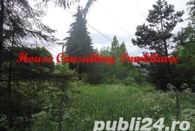 Teren de 1000 mp, în Clăbucet - 3