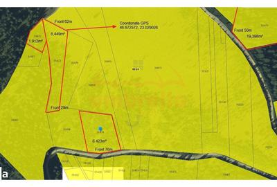 Spațiu comercial, în Beliș