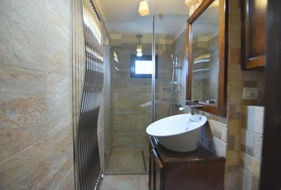 Apartament cu 1 camera, recent renovat-Take Ionescu - 3