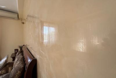 Vila de LUX Bucuresti / Sector 6 / 8 camere 250 mp - 12