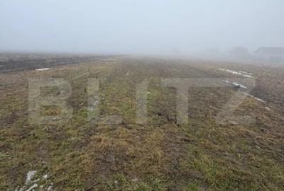 Teren de 2500 mp, în Central - 2