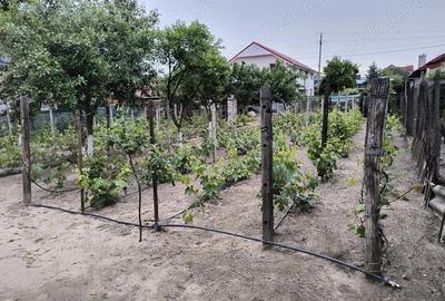 Casă cu 6 camere în Central - 1