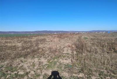 RECO Teren extravilan, centura Cheriu - 2