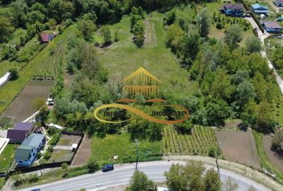 Teren intravilan | Posibilitate parcelare | Luncani-de vanzare - 1